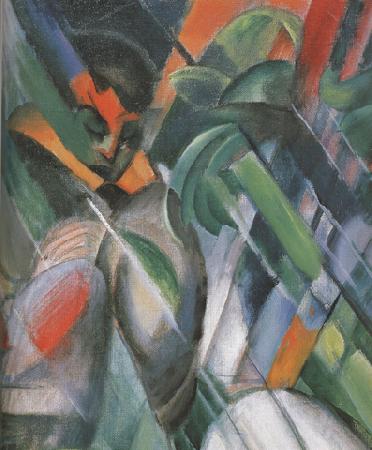 Franz Marc Details of Rain (mk34)